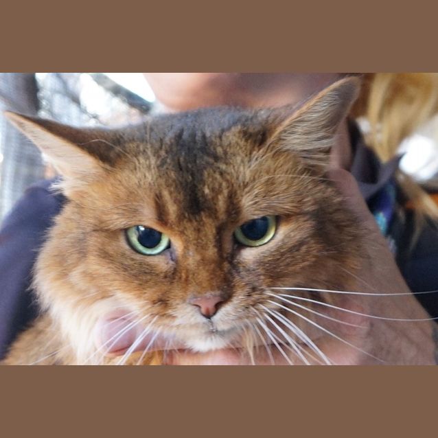 Photo of Athena