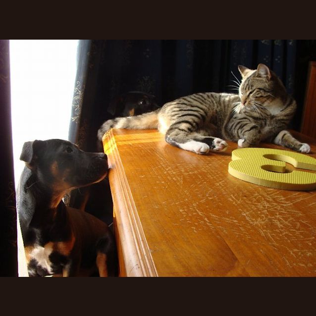 Photo of Precious