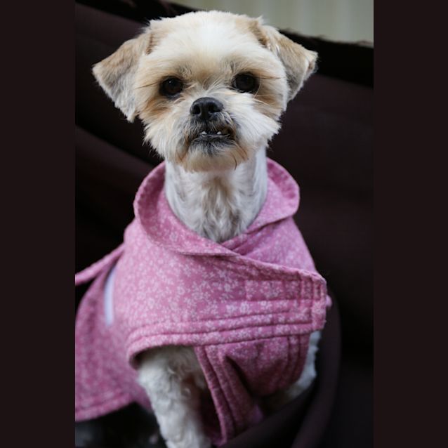 Photo of Pebbles
