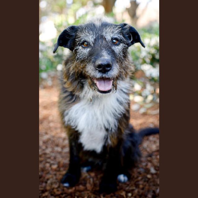 Photo of Tessie