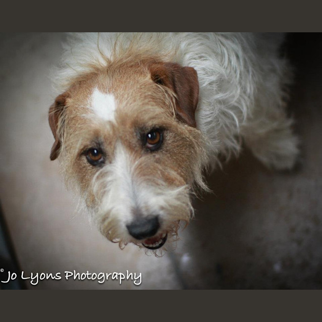 Photo of Jessie On Hold