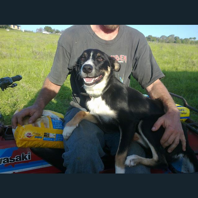 Photo of Macy
