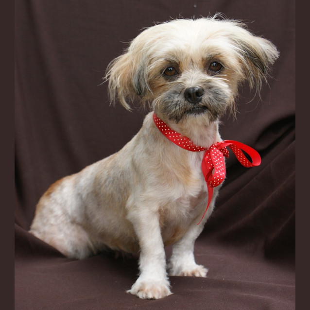 Photo of Coco