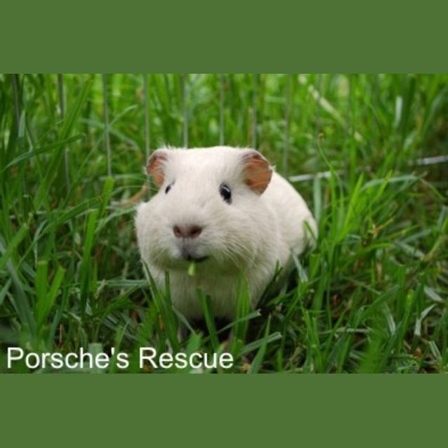 Photo of Sugar  On Hold*