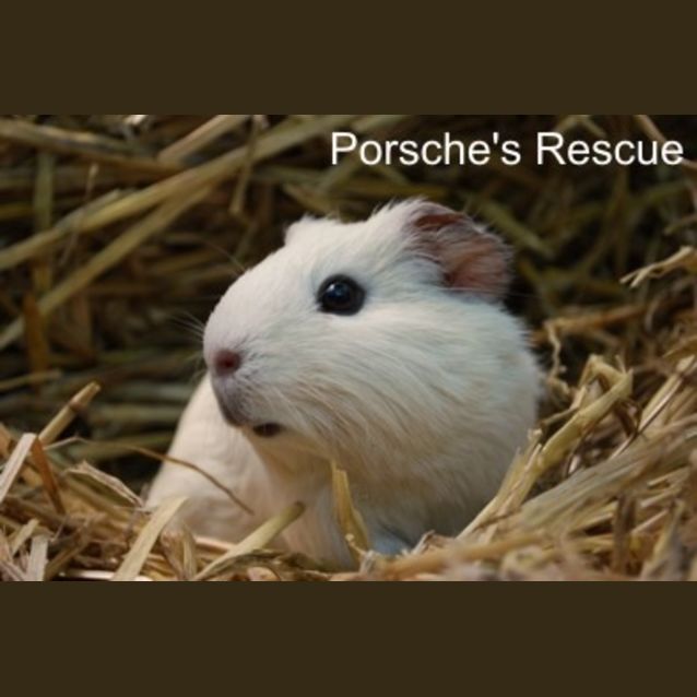 Photo of Sugar  On Hold*