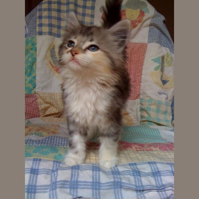 Photo of Baby