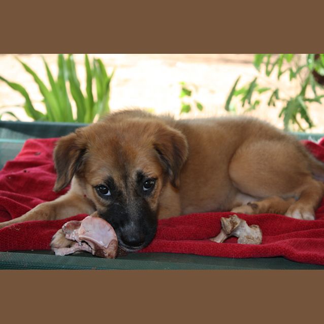 Photo of Lilly
