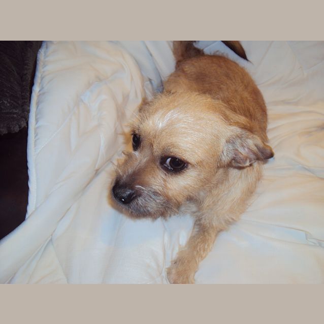 Photo of Sarie