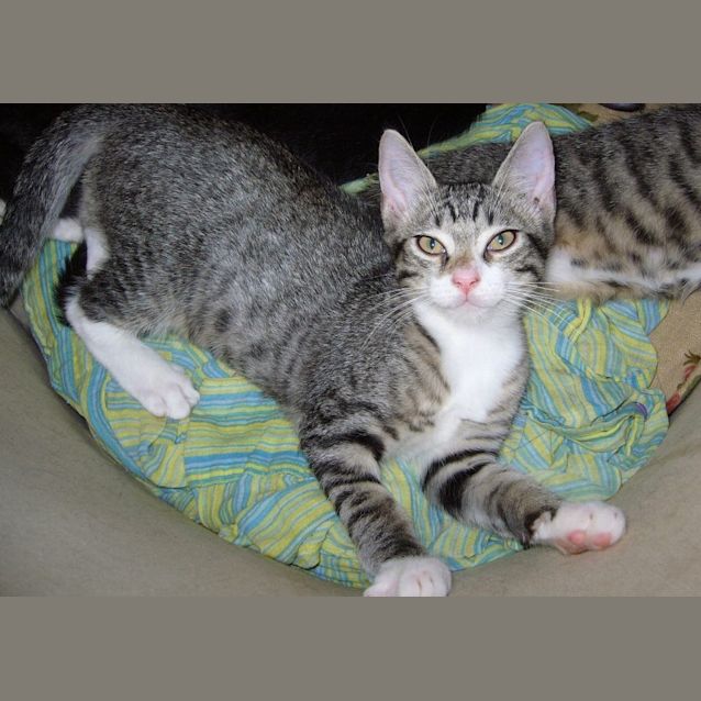 Photo of Bill   On Hold