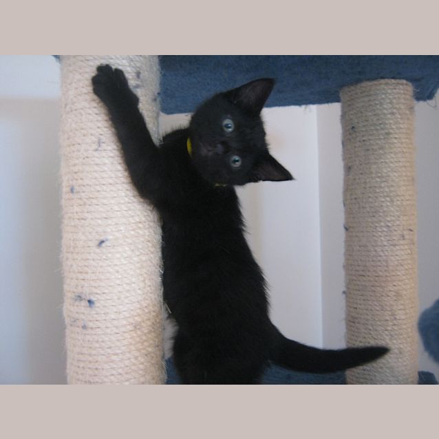 Photo of Nitro