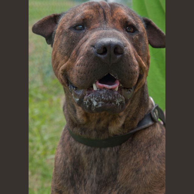 Photo of Id Ao232 Winston