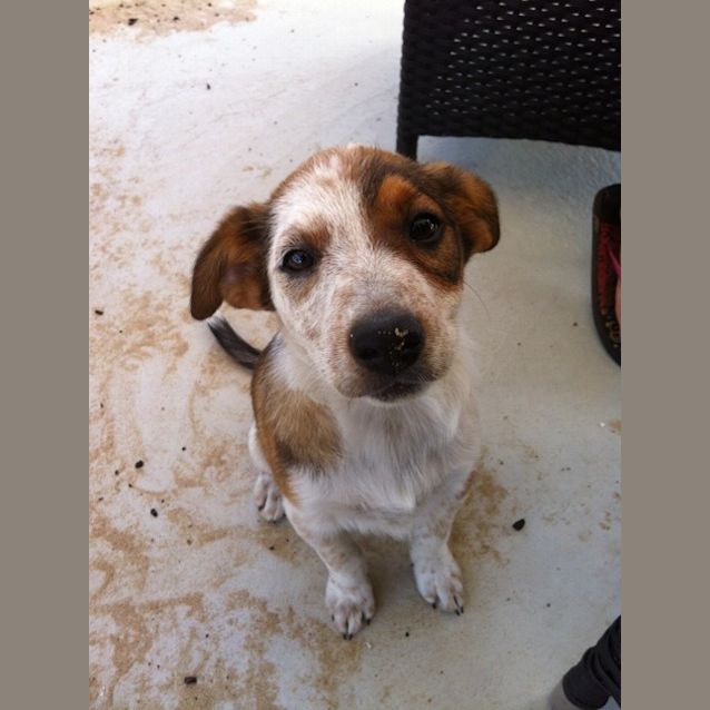 Photo of Luna Av408