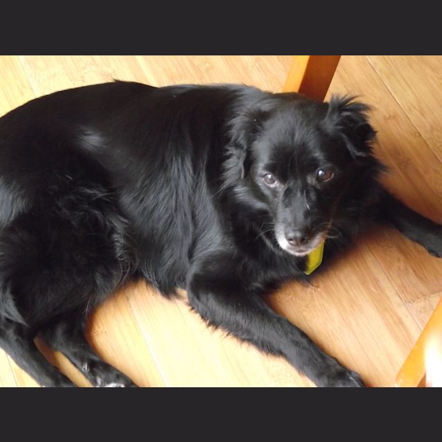 Photo of Holly