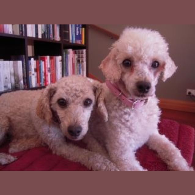 Photo of Lilly And Daisy