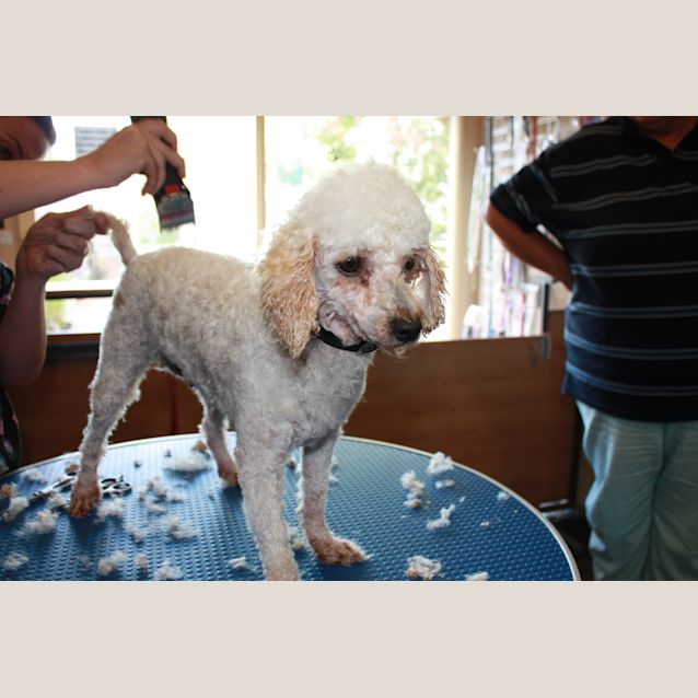 Photo of Lilly And Daisy