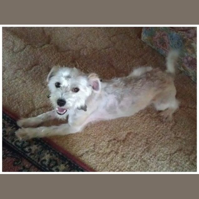 Photo of Patrick (Paddy)