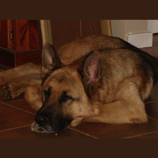 Photo of Brock On Trial With His New Family