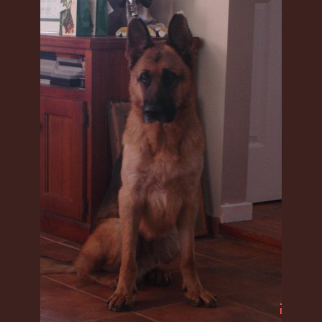 Photo of Brock On Trial With His New Family