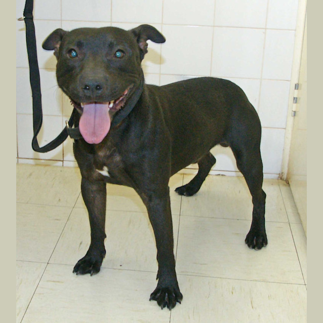 Photo of Nike (1379)