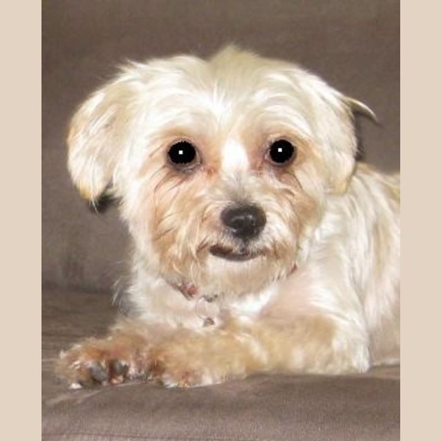 Photo of Mindy
