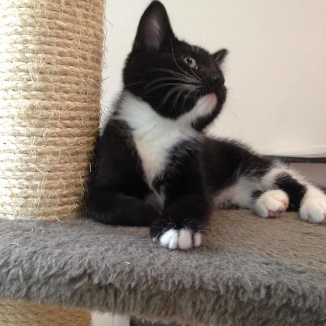 Photo of Fred