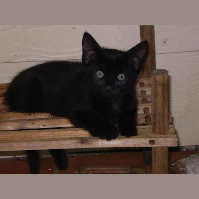 Photo of Sabrina "On Trial With Her New Family"