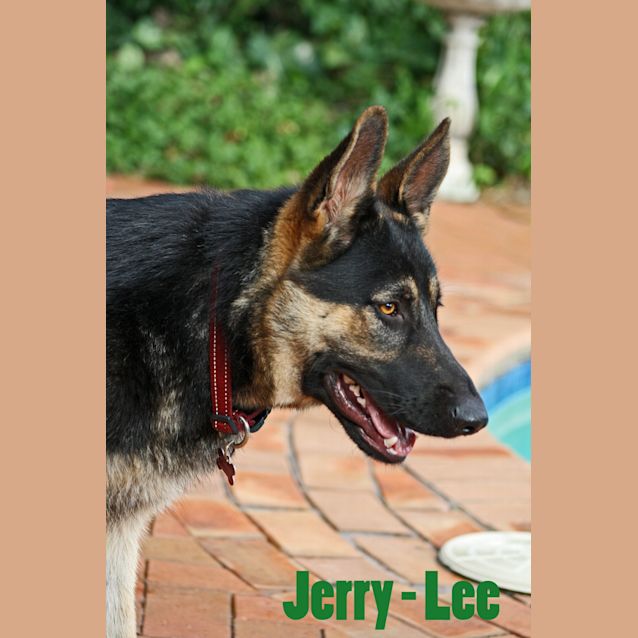 Photo of Jerry   Lee (On Trial)