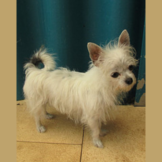 Photo of Tabitha