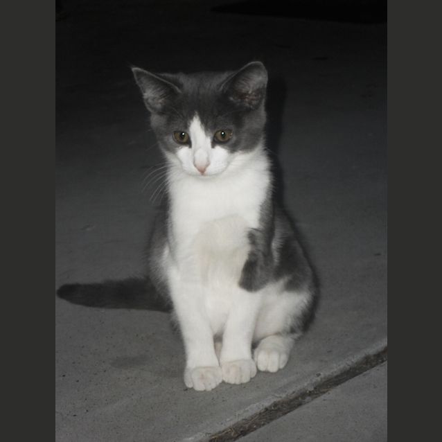 Photo of Skyla
