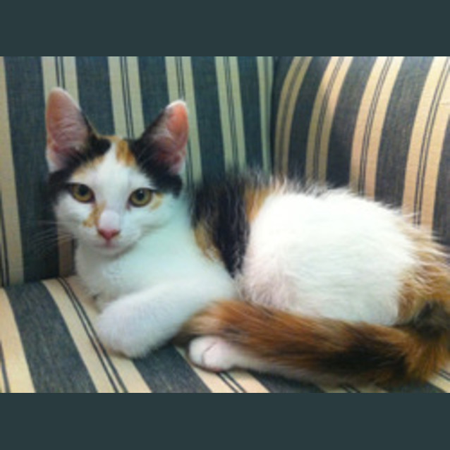 Photo of Germaine