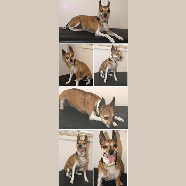 Photo of Rosie