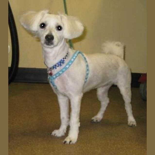 Photo of Ivy