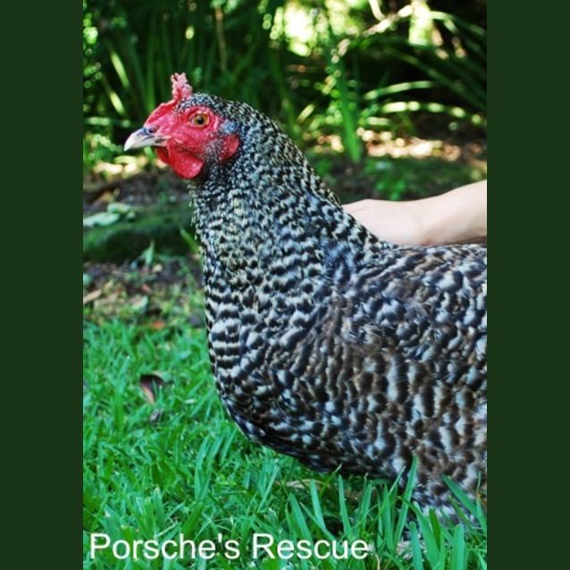 Photo of Katherine  On Hold