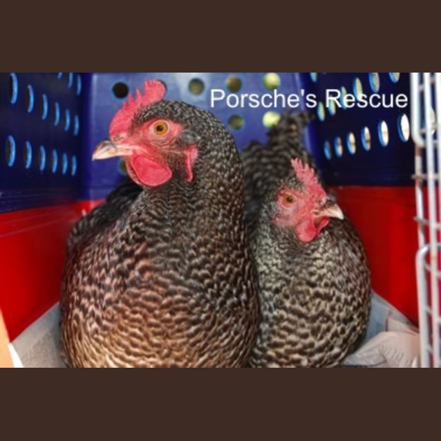 Photo of Katherine  On Hold