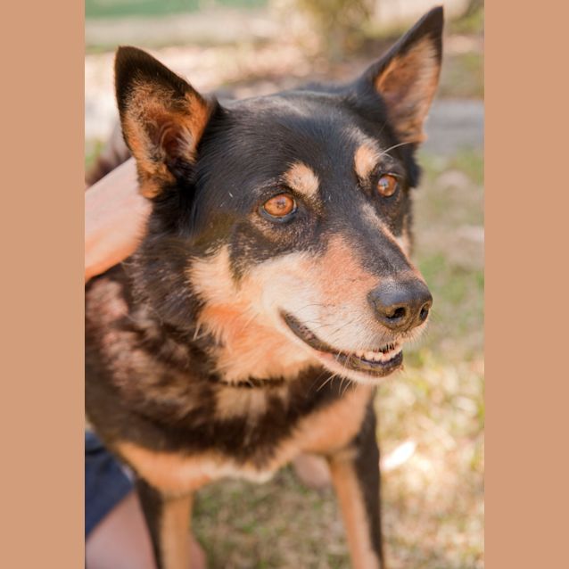 Photo of Meg   Id A0626