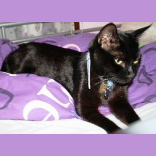 Photo of Sophie