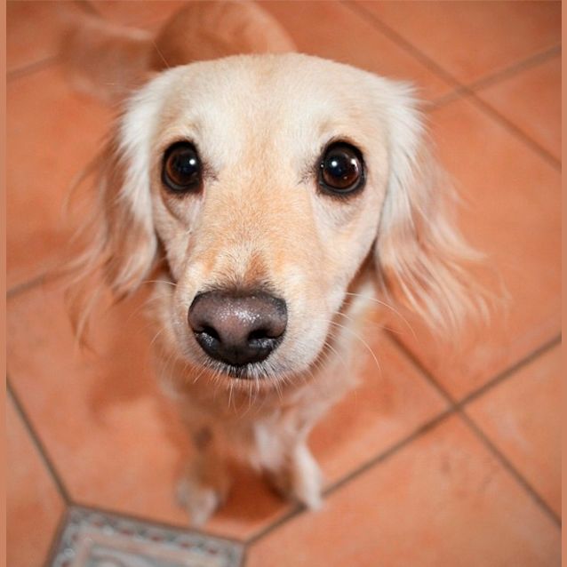 Photo of Blondie *On Trial*