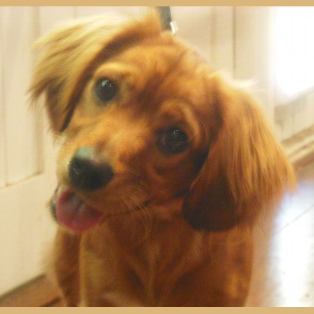 Photo of Lenny