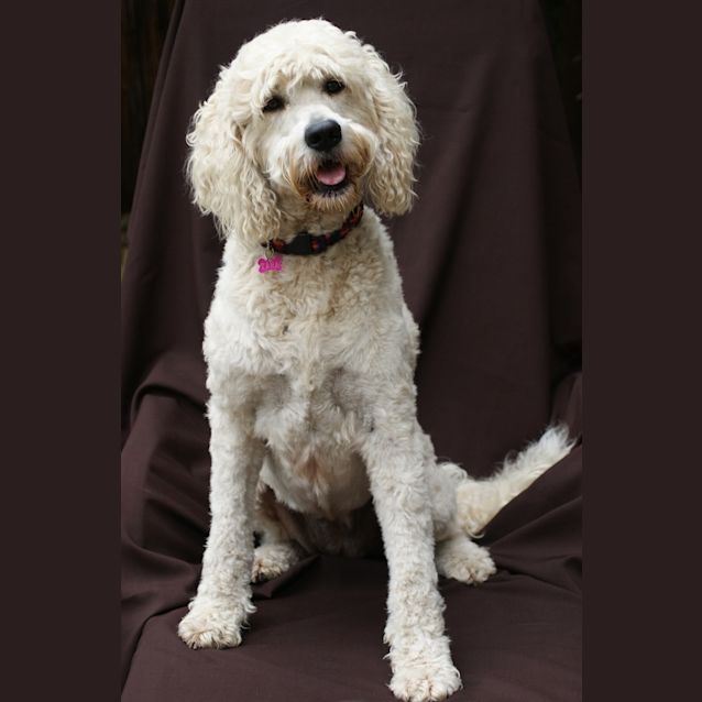 Photo of Gertie
