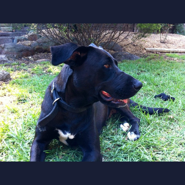 Photo of Sally