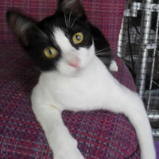 Photo of Hershey
