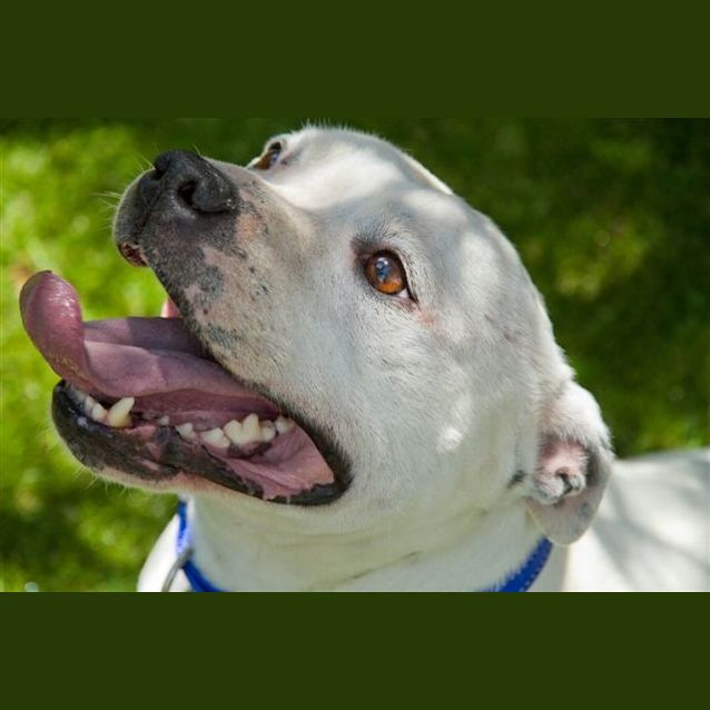 Photo of Winston