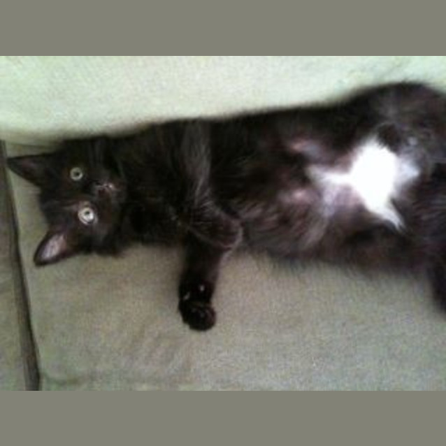 Photo of Missy
