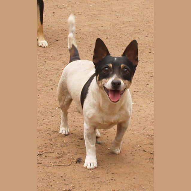 Photo of Tex