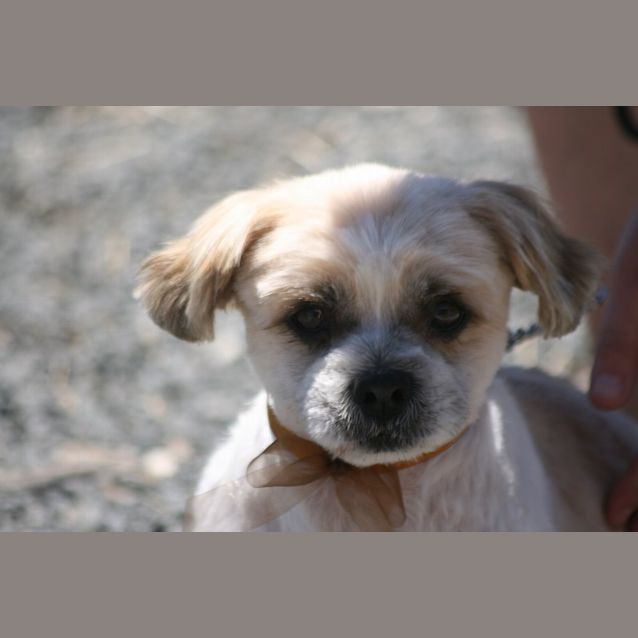 Photo of Mackey