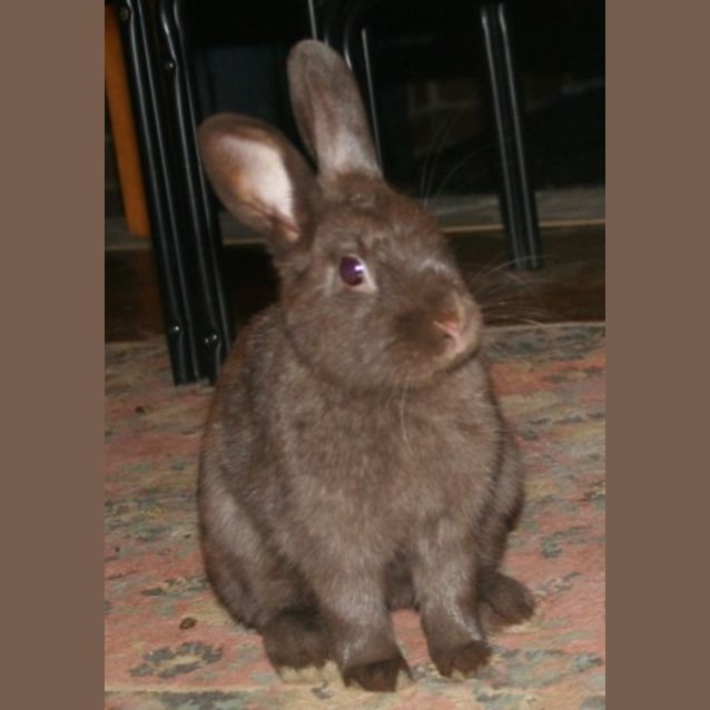Photo of Harry