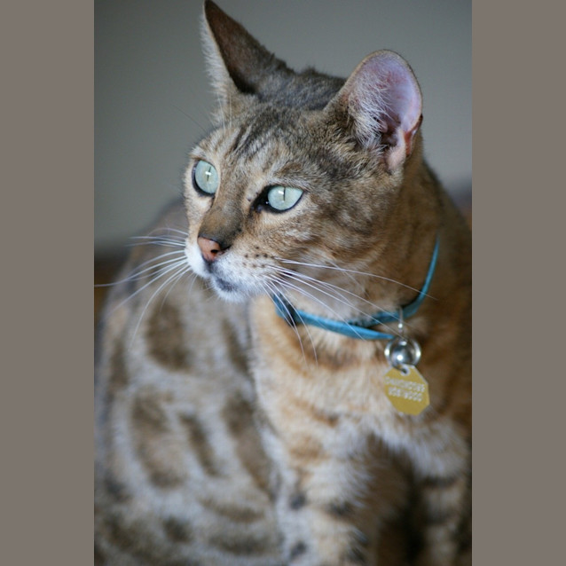 Photo of Jasper