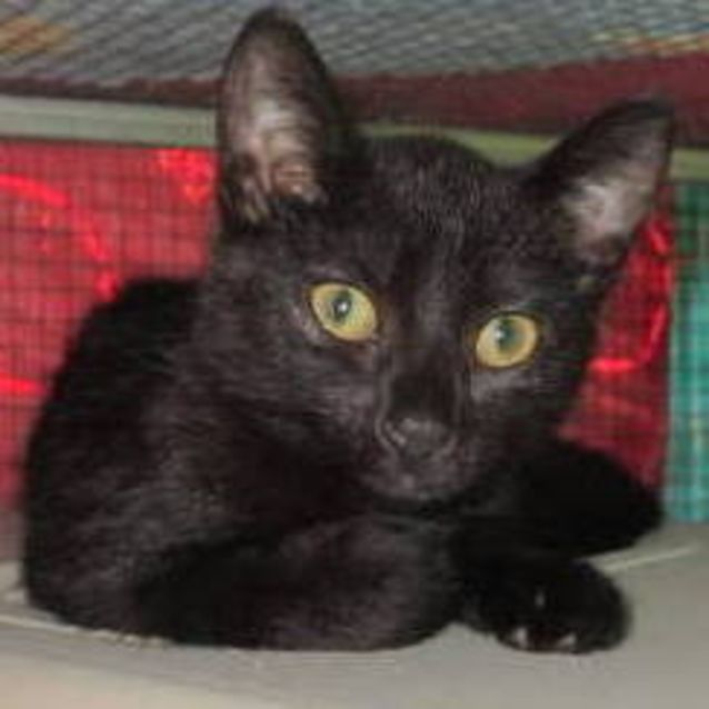 Photo of Sabrina