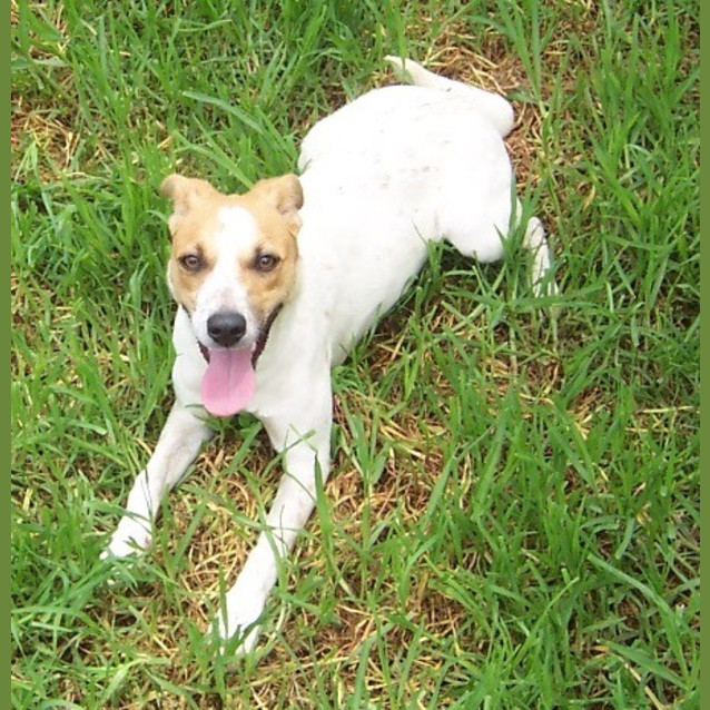 Photo of Whitney   On Hold