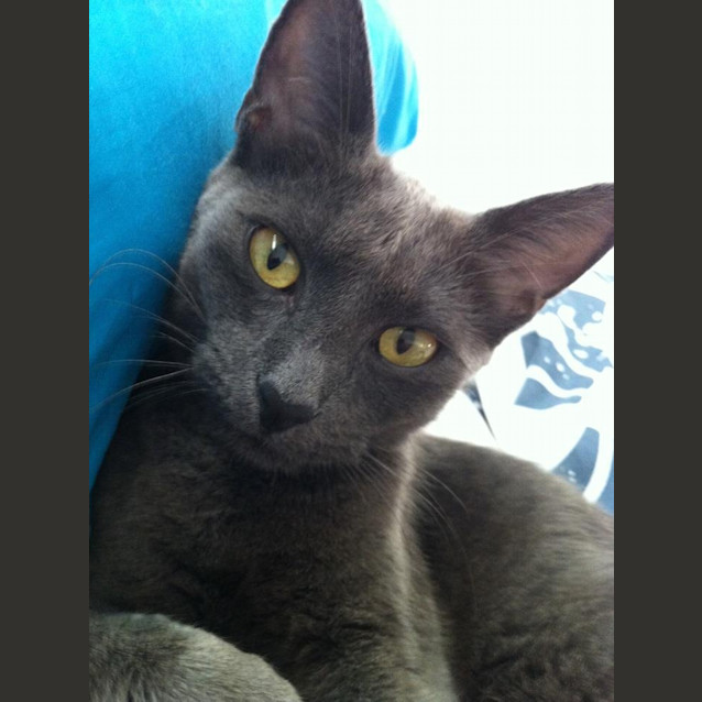 Photo of Pippa